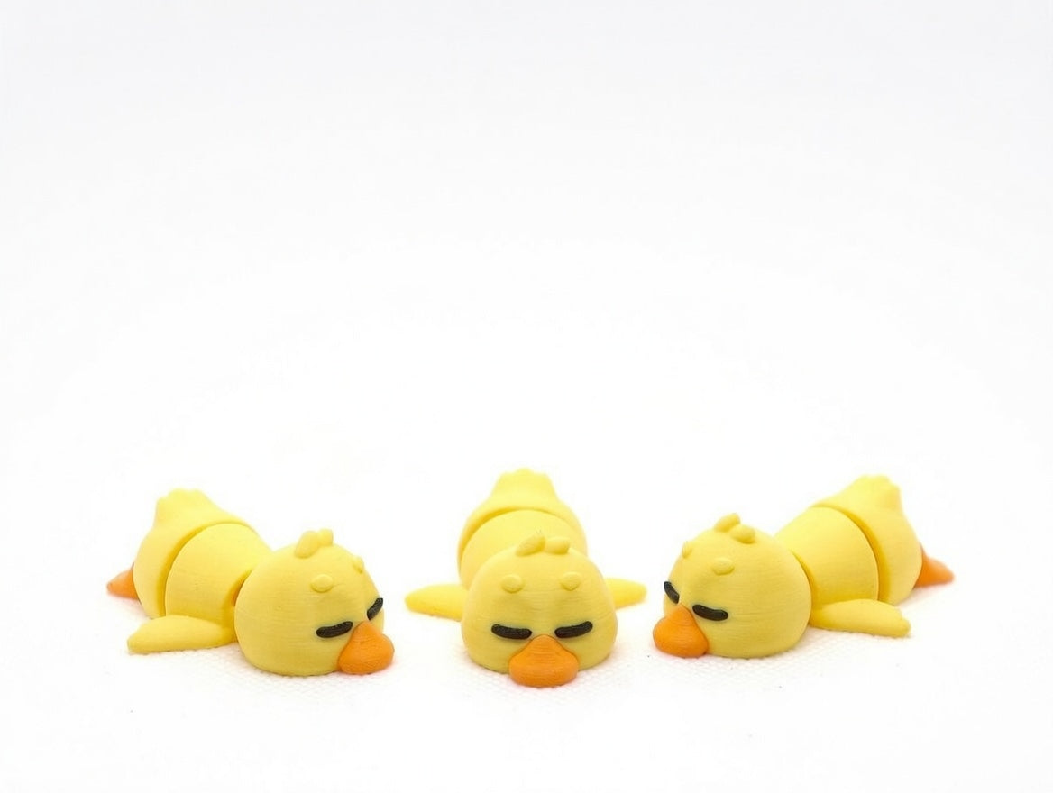 Sleepy Duck